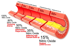 Cómo el óxido nítrico disminuye con la edad