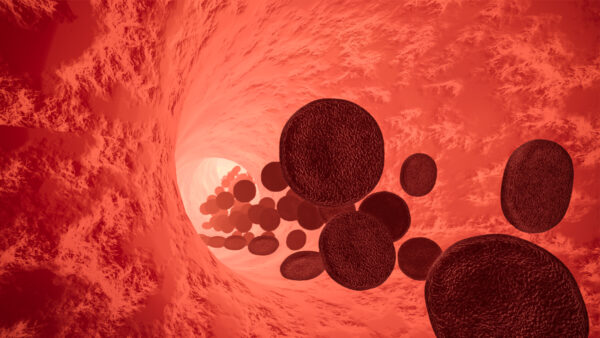 How to increase endothelial nitric oxide